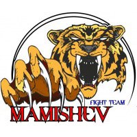 Mamishev Fight Team
