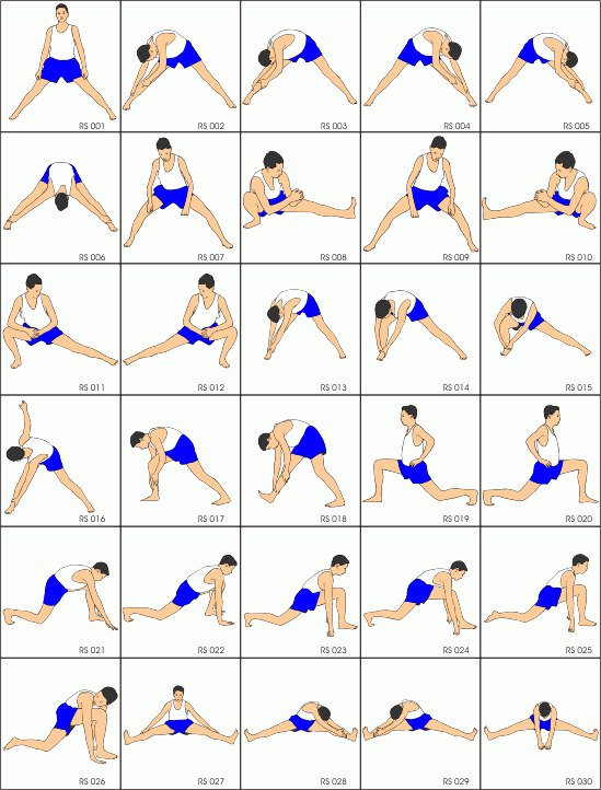 Muay Life - Основные упражнения для разминки в муай тай